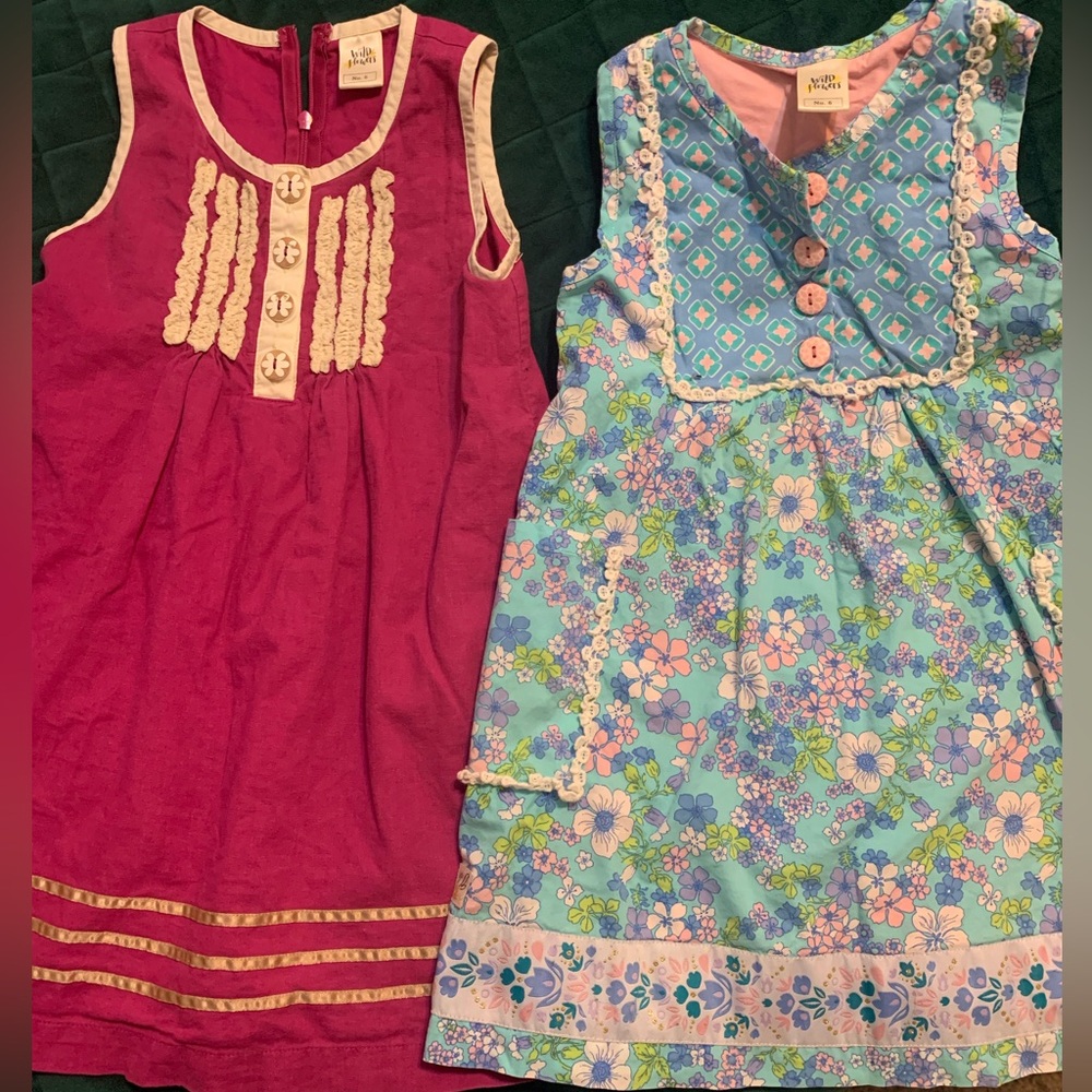 Wildflowers Kids Dresses in Pink and Blue Floral